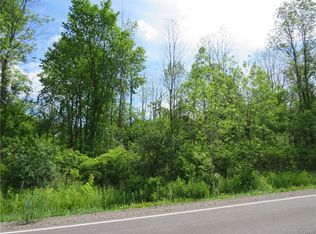 0 Lewis Point Road, canastota, NY 13032