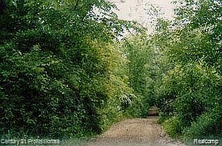 1st image of L21 Blue Jay Way