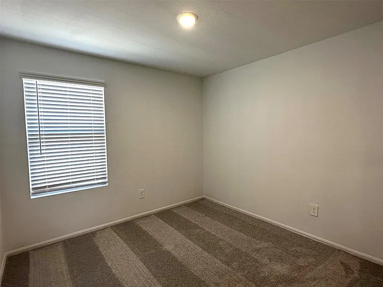 325 Birch Blossom Path — Photo 16