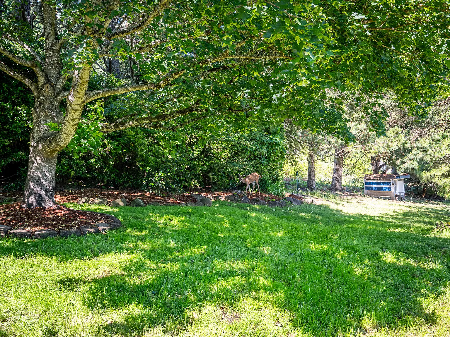 Bullevard, Philomath — Photo 2