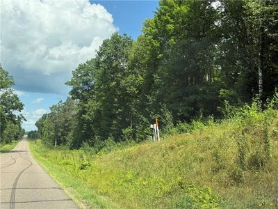 40 Acres Sawdust Road, Bruce, WI, 54819