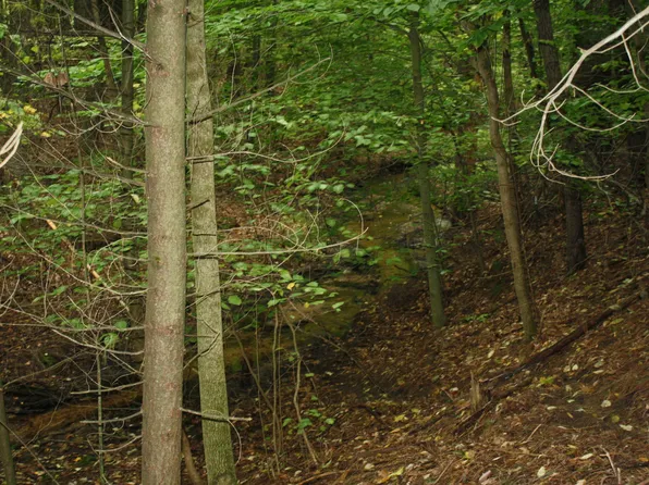 PARCEL W Timbercreek Trl #C, Newaygo, MI 49337