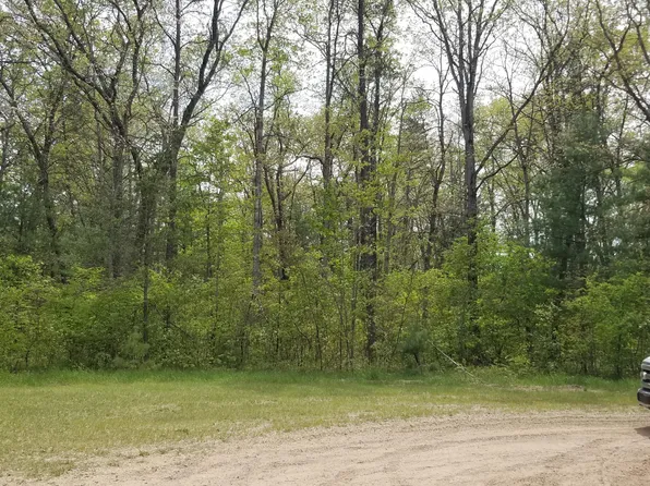 0 Christopher Rd, Wellston, MI 49689