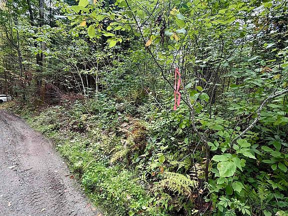 2nd image of 34 Perry Road
