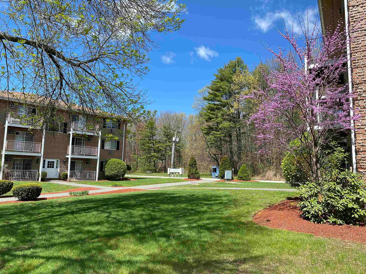 1 bed, 1.0 bath, 664 sqft, $1,949 — Photo 2