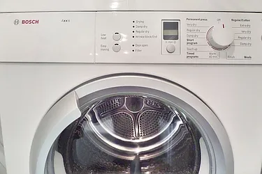 Rented by Bold New York