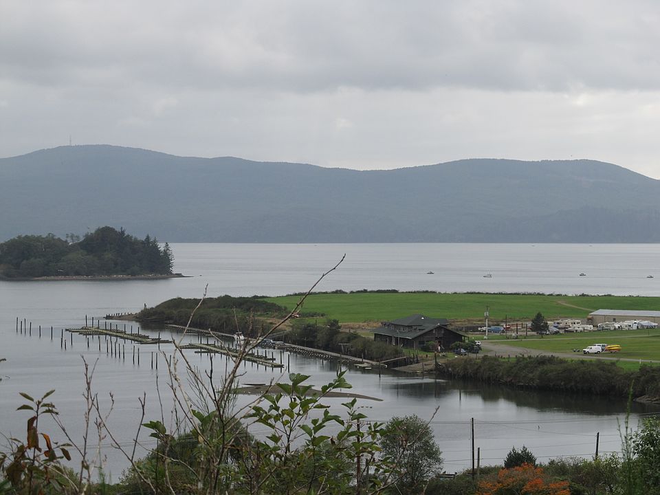 View from the top of the lot