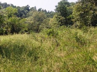 895 River Ridge Rd, Mountain View, AR 72560