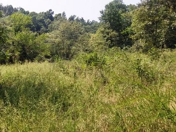 895 River Ridge Rd, Mountain View, AR 72560