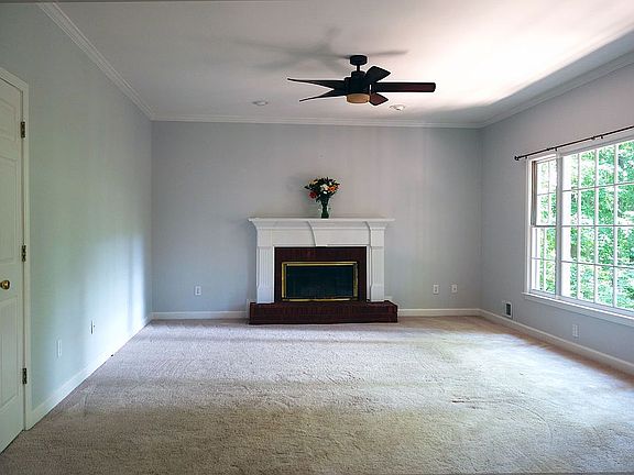 Wood Burning Fireplace