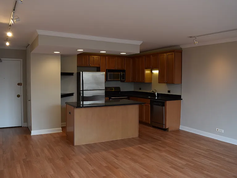 1360 N Sandburg Ter #410 — Photo 12