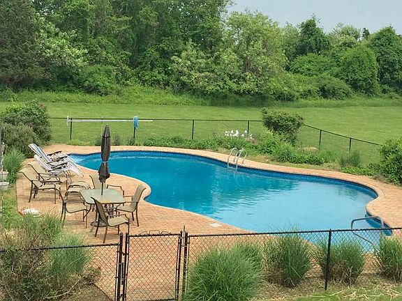 Free Form 25x50 Pool