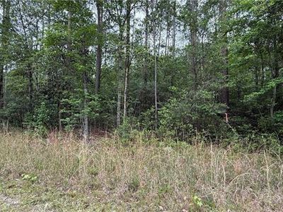 0 Burke, Abita Springs, LA, 70420