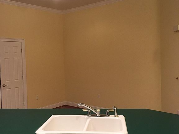 double sink/ garbage disposal