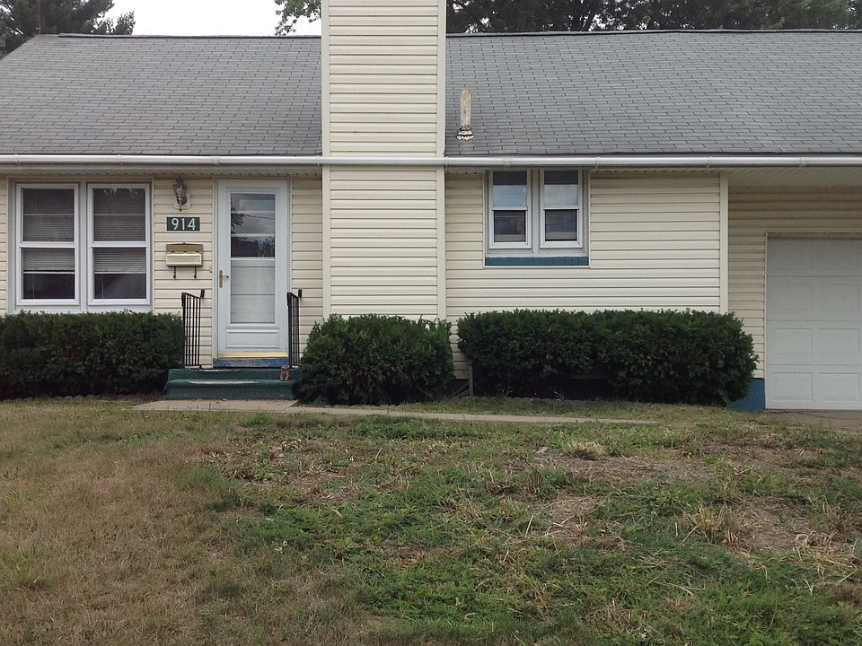 removed tree improved light