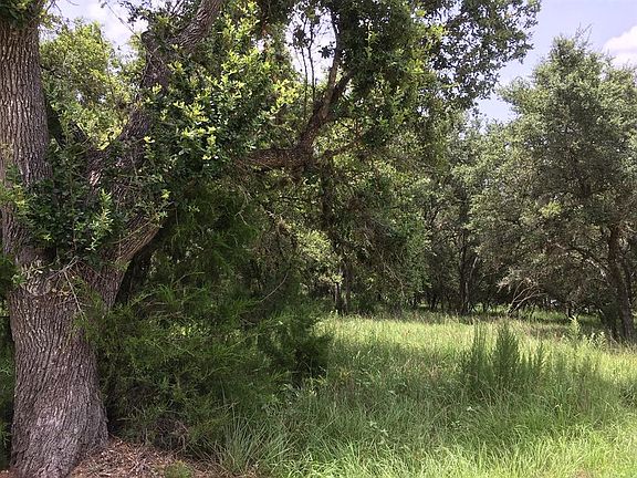 5th image of 0 Bluebonnet Bnd