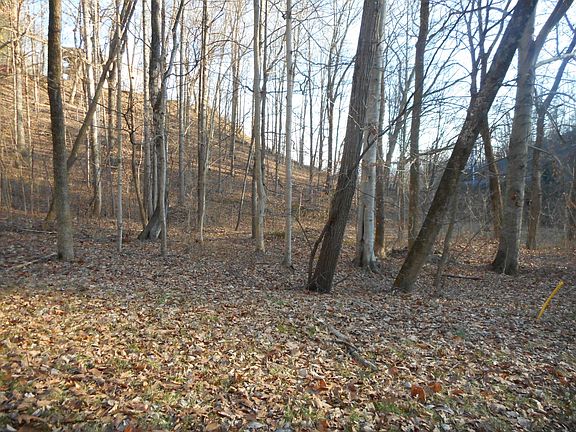 4th image of 104 Tamassee Dr