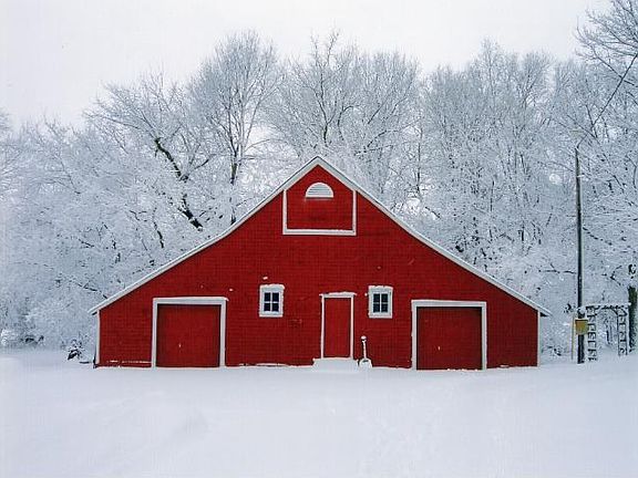 The Shed on one of those special fresh snowy days