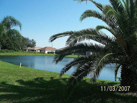 View from back patio