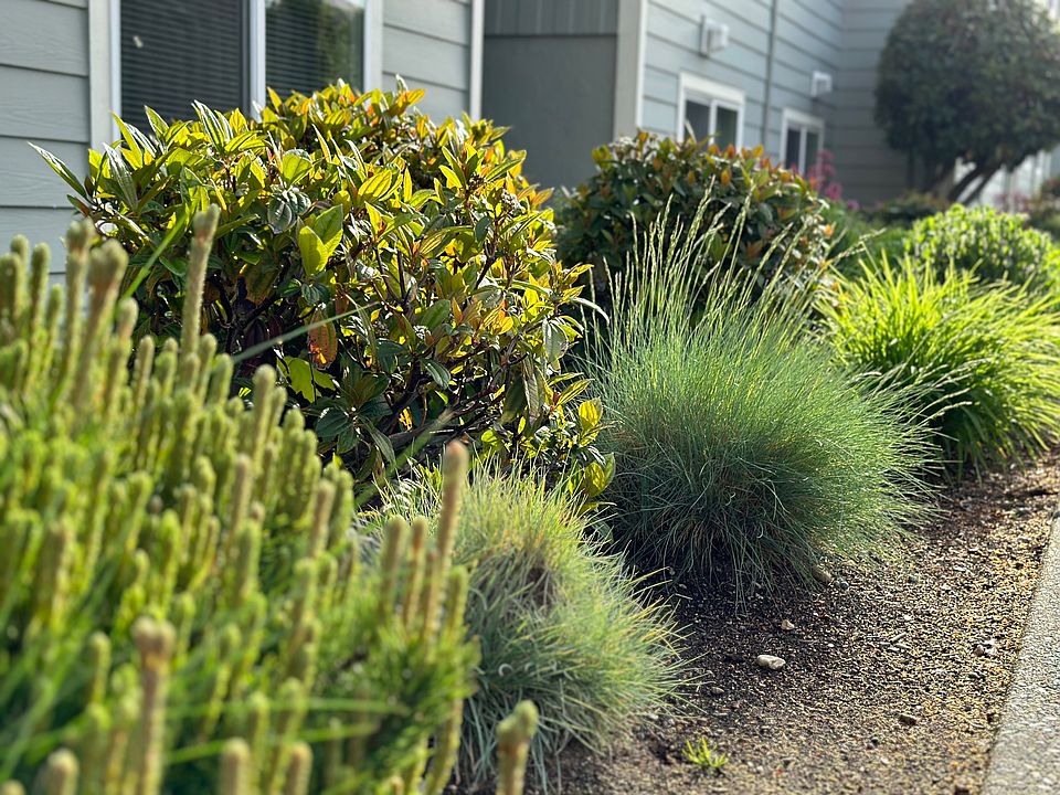 Steele Manor Apartments 621 S Steele St WA Zillow