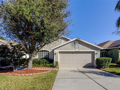 3152 Banyan Hill Ln, Land O Lakes, FL, 34639