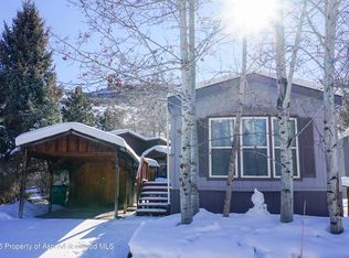 91 Wildcat, Aspen, CO 81611