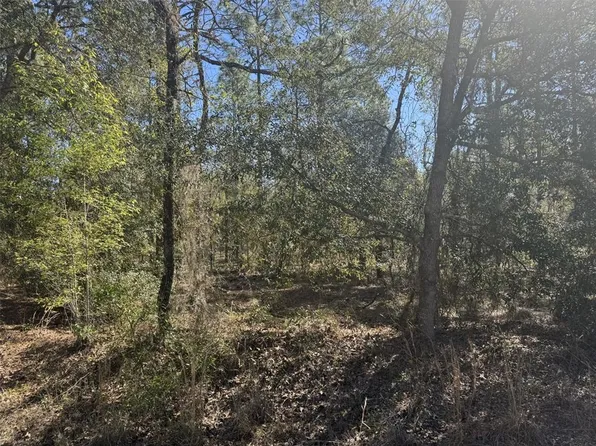 NW Smallwood Rd Lot 33, Dunnellon, FL 34431
