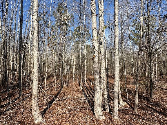 2nd image of 63-003A Four Points Rd W