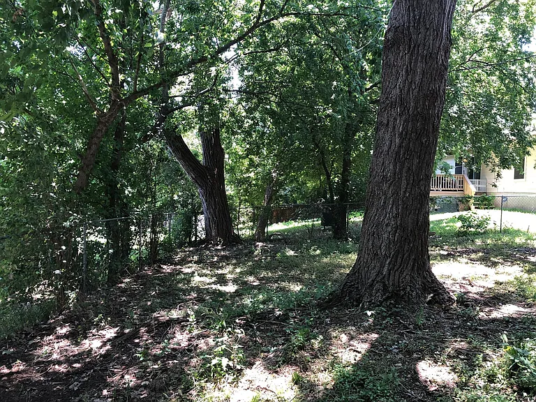 3103 Catalina Dr — Photo 24