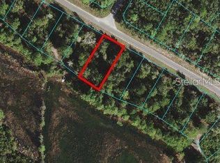 45 Fisher Way LOT 45, Ocklawaha, FL 32179