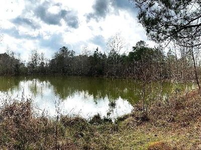 11591 Grant St, Wilson, LA, 70789