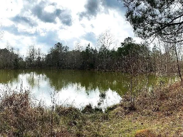 11591 Grant St, Wilson, LA 70789