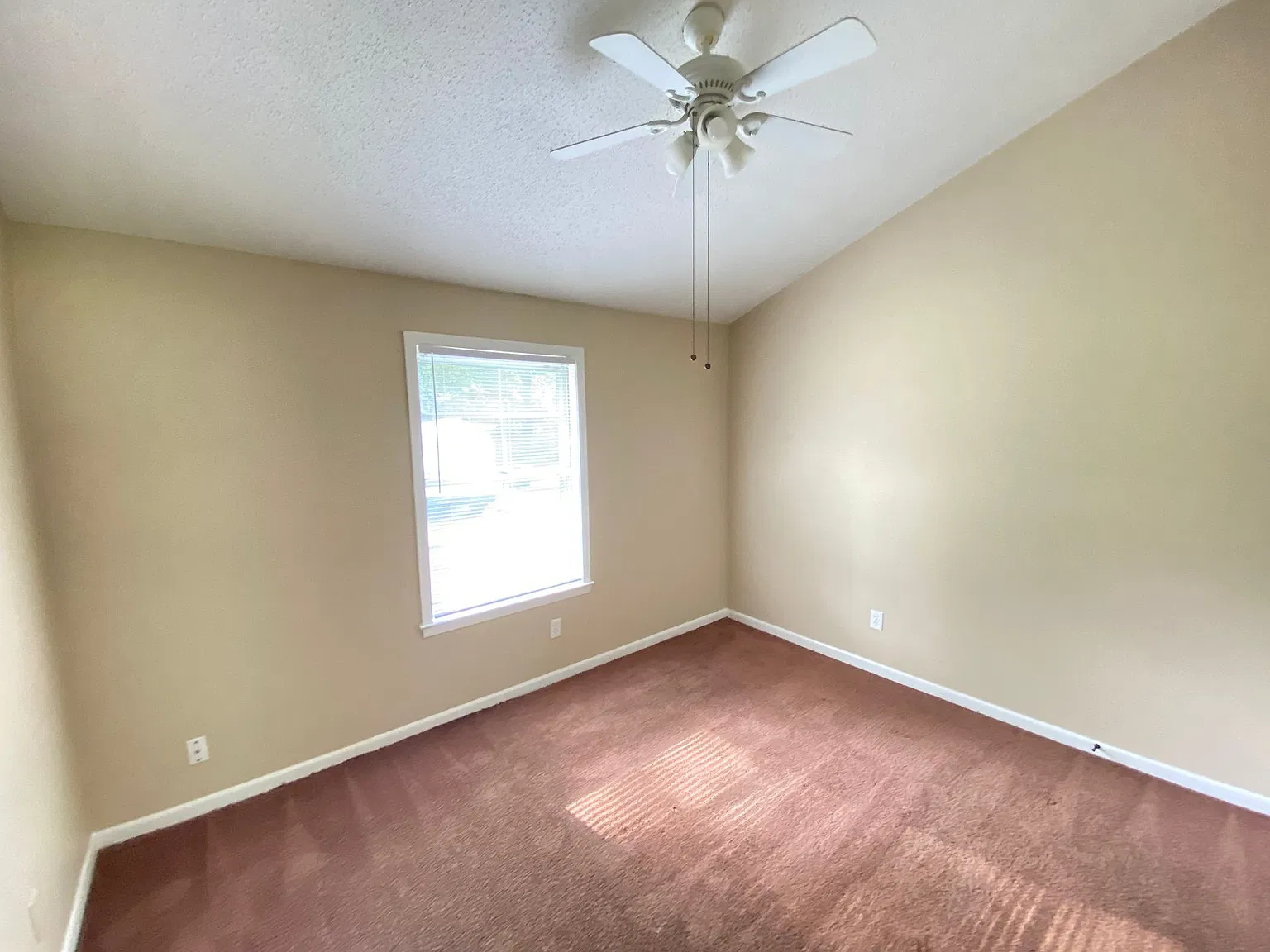 3924 Sybil St — Photo 3