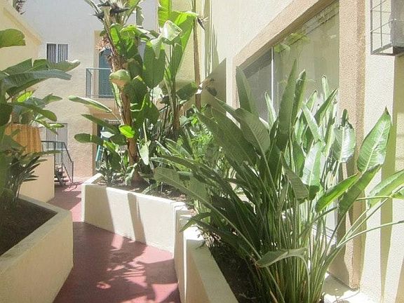 2nd image of 4435 Coldwater Canyon Ave APT 206