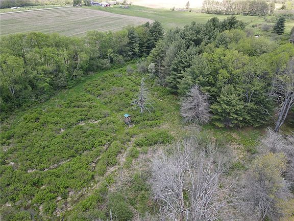 3rd image of LOT 2 County Road 16 Lot 41