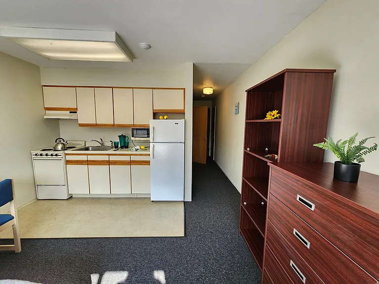 Collegetown Court, 208 Dryden Road — Photo 34