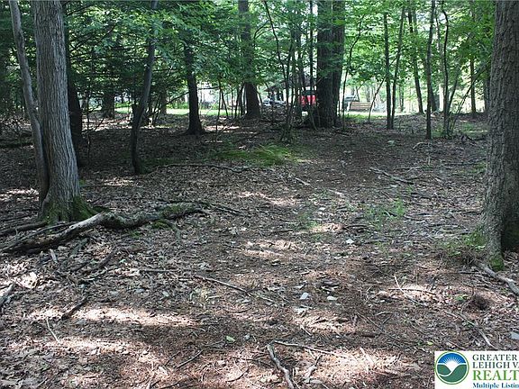 2nd image of 12 Turkey Ridge Dr