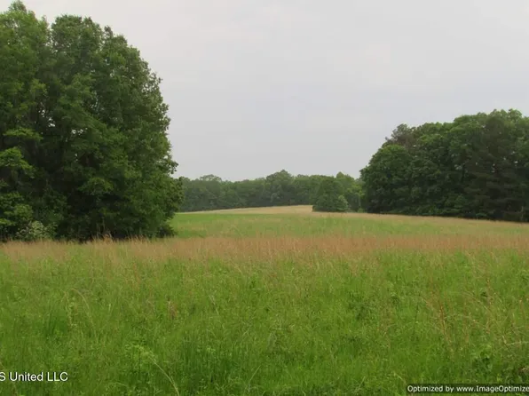 Vaughn Rd, Vaughan, MS 39179