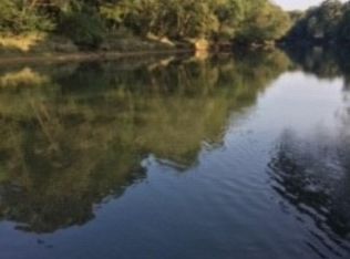 Iveon Clay Rd, Pangburn, AR 72121