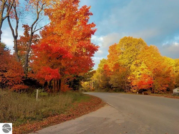 0 N 11th Rd #2-4, Mesick, MI 49668
