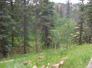 33751 Nova Rd UNIT B, Pine, CO 80470