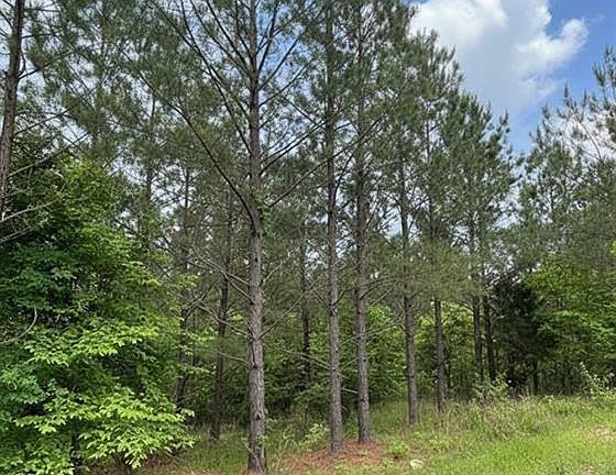 3rd image of 663 Timber Creek Trl