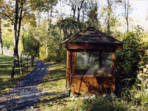 cart path through woods and meadow