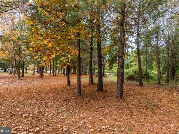 24653 McInturff Rd, Dames Quarter, MD 21821