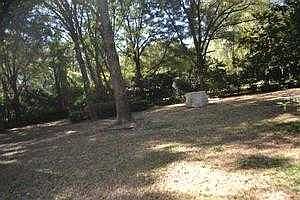 front yard