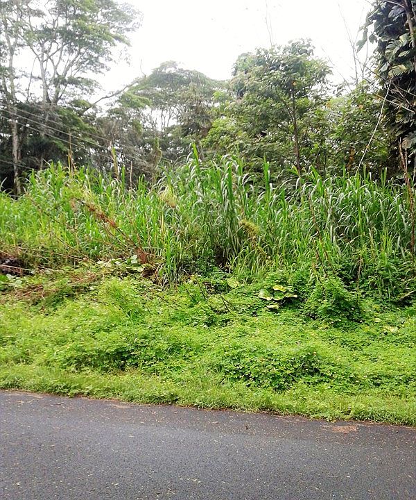2nd image of Kahakai Blvd Lot 34