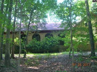 221 Newberg Rd, Chapin, SC 29036