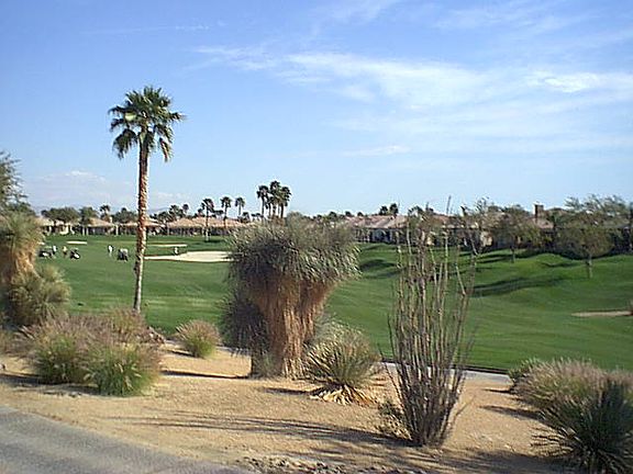 VIEW GOLF COURSE