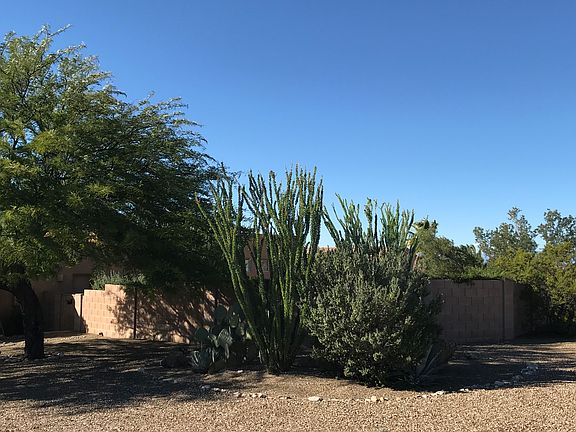 2nd image of 13931 E Wild Jesse Way