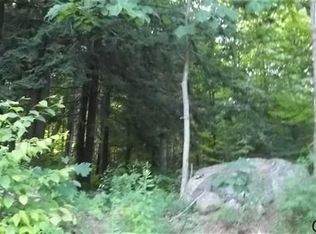 Handy Rd, Mayfield, NY 12117